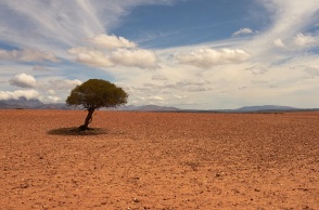 Γκουτέρες: Η υπερθέρμανση τελείωσε - Ο πλανήτης στη φάση «βρασμού»