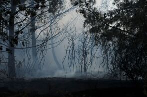 © Nephele Nomikou / SOOC