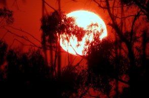 Καύσωνας - Μεσόγειος - Το μεγαλύτερο επεισόδιο που έχει καταγραφεί