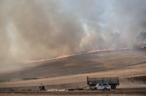 Στιγμιότυπο από τη φωτιά στη Μαγνησία