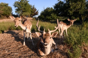 Πρέπει να ληφθούν άμεσα μέτρα γιατί εγκαταλείπονται οι περιοχές 