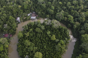 O Αμαζόνιος ποταμός και το δάσος του