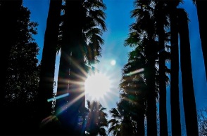 Καιρός σήμερα: Αίθριος με θερμοκρασία στους 39 βαθμούς