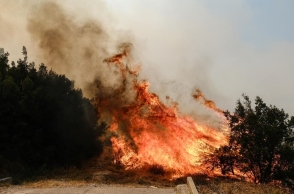 Πύρινο μέτωπο στη Χασιά ©Alexandros Michailidis / SOOC