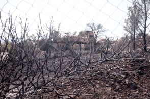 © ΚΩΣΤΑΣ ΤΖΟΥΜΑΣ / EUROKINISSI