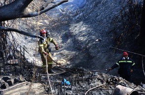 Φωτιές: Αναζωπυρώσεις σε Έβρο, Πάρνηθα, Βοιωτία 