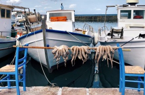 POS στο Αιγαίο: Λουκέτα και πρόστιμα σε 43 καταστήματα για φοροδιαφυγή
