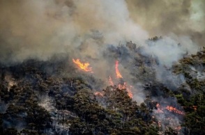 Φωτιές: Αναζωπυρώσεις σε Έβρο και Ροδόπη