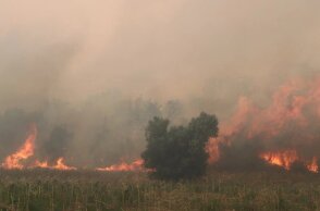 Γιατί καιγόμαστε; Πού κάνουμε λάθος; Τι πρέπει να γίνει;