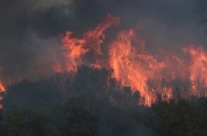 Μεγα-πυρκαγιές: Γιατί καιγόμαστε; Πού κάνουμε λάθος; Τι πρέπει να γίνει;