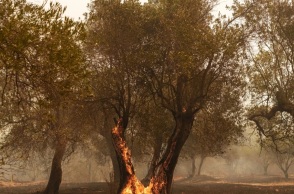 Φωτιά τώρα στον Έβρο: Προειδοποιητικό μήνυμα στο Σουφλί	