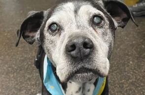 Ο 23χρονος Τάι έκλεισε ένα χρόνο με τους νέους του κηδεμόνες