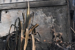 Στιγμιότυπο από τη φωτιά στην Πάρνηθα