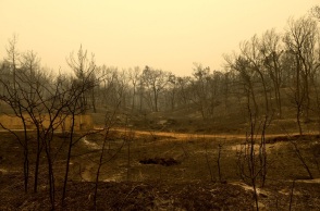 Καμένες εκτάσεις στον Έβρο