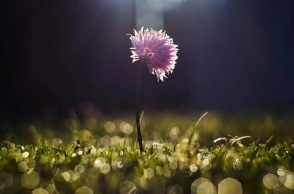 Εορτολόγιο: Σήμερα, 6 Σεπτεμβρίου 2023 γιορτάζει…