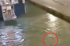 Blue Horizon: Βίντεο από τη στιγμή που πνίγεται ο 36χρονος