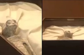 Τα δύο πτώματα εξωγήινων που έδειξε ουφολόγος στο Μεξικό