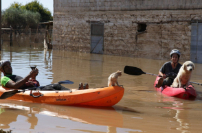 Τα ζώα που διασώθηκαν από το Καρδίτσα shelter Dog