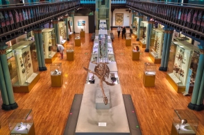 Σκωτία: Χιλιάδες έργα τέχνης έχουν εξαφανισθεί από μουσεία  