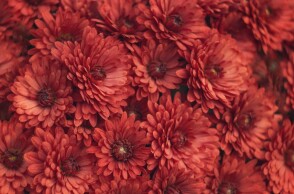 Εορτολόγιο: Σήμερα, 15 Φεβρουαρίου 2026, γιορτάζει…