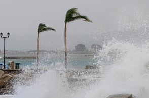 Φοίνικες και κύματα στην προκυμαία στην Αργολίδα δείχνουν το πόσο ισχυροί είναι οι άνεμοι που πνέουν στην περιοχή