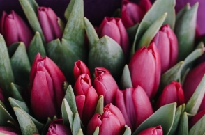 Ποιοι γιορτάζουν σήμερα 8 Δεκεμβρίου