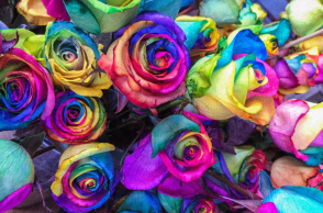 Ποιοι γιορτάζουν σήμερα 8 Δεκεμβρίου