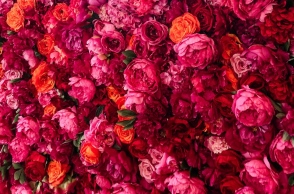 Εορτολόγιο: Σήμερα, 12 Δεκεμβρίου, γιορτάζει…