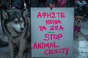 Αράχωβα: Ορίστηκε τεχνικός σύμβουλος για την υπόθεση «Όλιβερ» από τη Πανελλήνια Φιλοζωική Ομοσπονδία