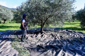 Άδεια νόμιμης εργασίας για εργάτες γης δίνει η κυβέρνηση 