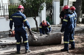 485 κλήσεις έλαβε σε όλη την χώρα η Πυροσβεστική για κοπές δέντρων και παροχών βοήθειας