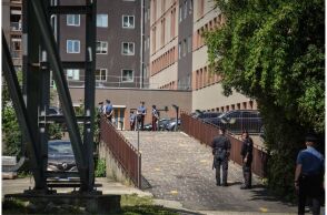 MIA KOΠΕΛΑ ΠΕΘΑΝΕ ΑΠΟ ΑΛΛΕΡΓΙΑ ΣΤΟ ΜΙΛΑΝΟ