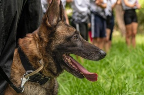 Ο σκύλος που βρήκε τη σορό του Μπάμπη θα συνδράμει στις έρευνες του αγνοούμενου στην Ηλεία 