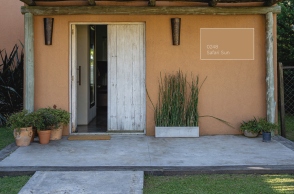 Safari Sun: Χρώμα της Χρονιάς από την Vitex για το 2024