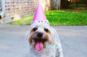 Εορτολόγιο: Σήμερα 15 Μαρτίου 2024, γιορτάζει…