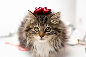 Εορτολόγιο: Σήμερα 16 Μαρτίου 2024, γιορτάζει...