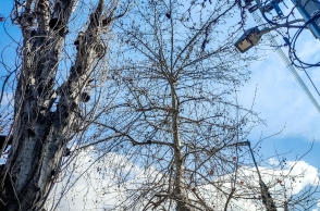 Γενικά αίθριος θα είναι ο καιρός σήμερα Παρασκευή, με αραιές νεφώσεις από το απόγευμα