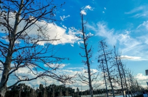 Γενικά αίθριος θα είναι καιρός αύριο Σάββατο με αραιές νεφώσεις κατά περιόδους