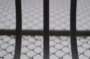 Επιχείρηση «σκούπα» της ΕΛΑΣ - Δεκάδες άτομα προσήχθησαν για συμμετοχή σε κύκλωμα κλοπών