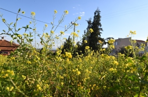 Γενικά αίθριος θα είναι ο καιρός σήμερα Τετάρτη με αραιές νεφώσεις