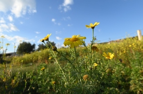 Γενικά αίθριος θα είναι ο καιρός αύριο Τετάρτη με αραιές νεφώσεις