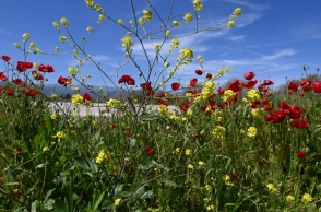 Αίθριος ο καιρός σήμερα Σάββατο με λίγες νεφώσεις - Χαλάει από την Κυριακή