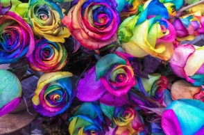 Εορτολόγιο: Σήμερα 6 Απριλίου 2024 γιορτάζει...