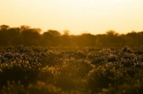 Απειλητικά ανεβαίνει η θερμοκρασία χρόνο με το χρόνο στην Ευρώπη