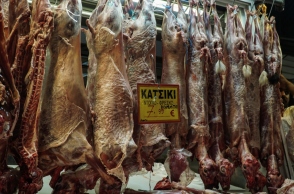 Σφαγμένα κατσίκια κρεμασμένα