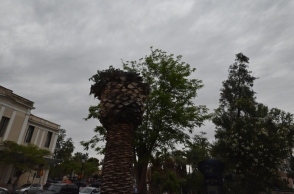 βουνα, ουρανός, δάσος, συννεφα