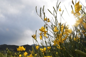 Γενικά αίθριος θα είναι ο καιρός αύριο Σάββατο με αραιές νεφώσεις και τοπικές βροχές