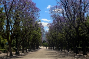 Καιρός σήμερα: Ανεβαίνει η θερμοκρασία την Παρασκευή