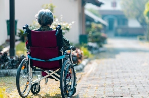 γιαγια, αναπηρικο καροτσακι