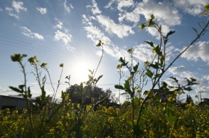 Ηλιοφάνεια 